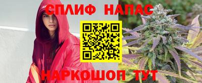 ECSTASY Будённовск