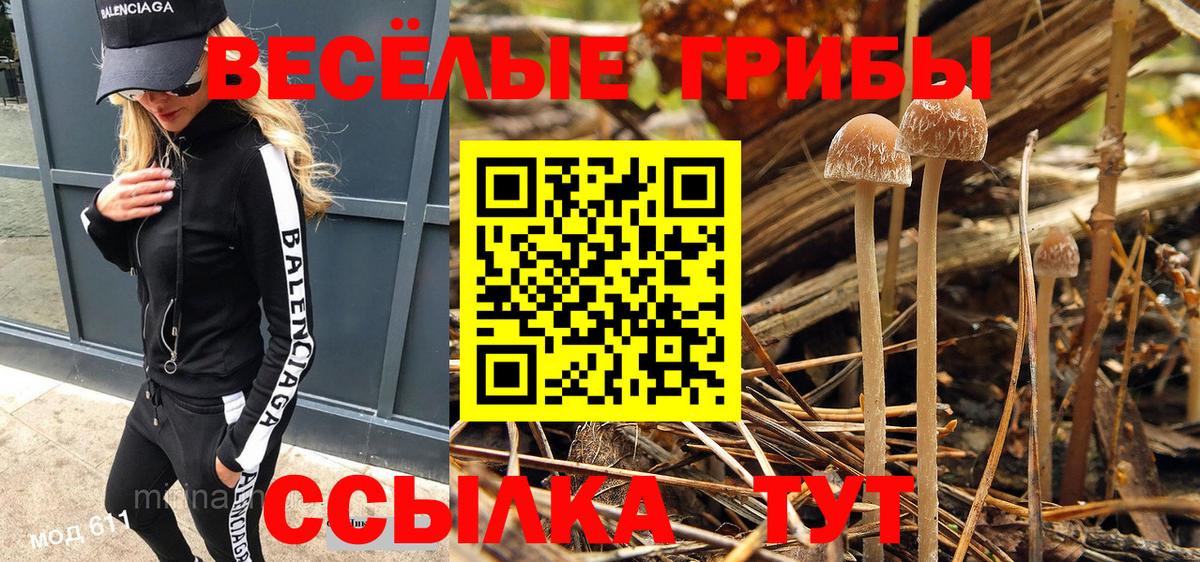 Назрань  Галлюциногенные грибы прущие грибы  как найти закладки  Вход с VPN 
